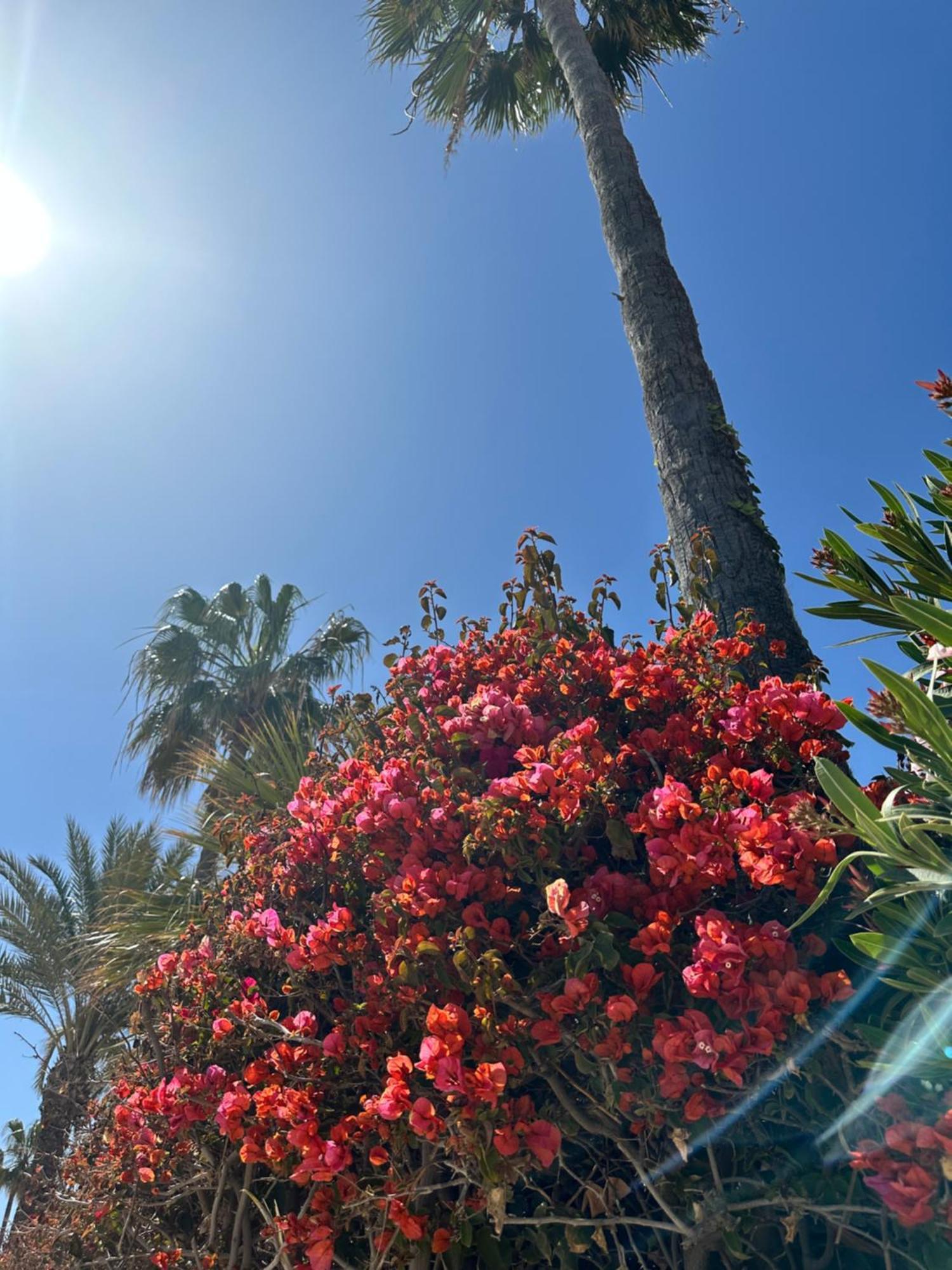 Relax Casa Costa Blanka Apartment Santa Pola Exterior photo