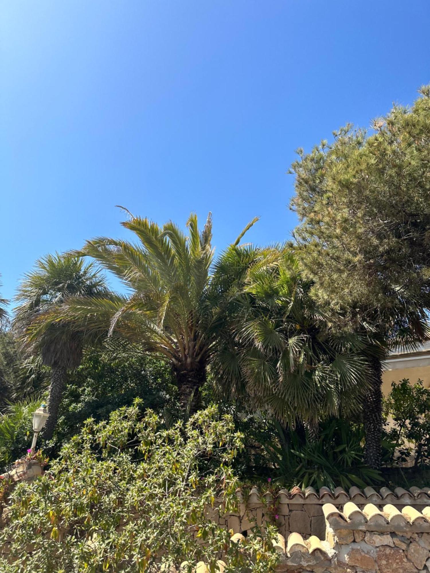 Relax Casa Costa Blanka Apartment Santa Pola Exterior photo